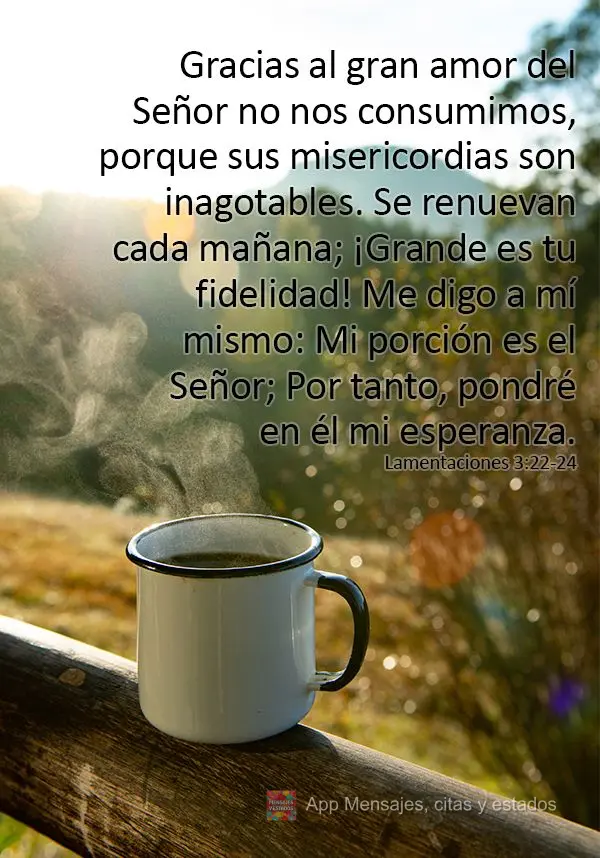 Gracias al gran amor del Señor no nos consumimos, porque sus misericordias son inagotables. Se renuevan cada mañana; ¡Grande es tu fidelidad! Me digo ...