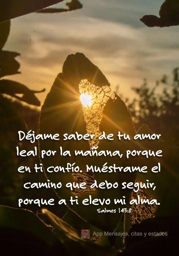 Déjame saber de tu amor leal por la mañana, porque en ti confío. Muéstrame el camino que debo seguir, porque a ti elevo mi alma. Salmos 143:8