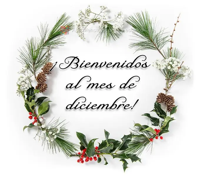 Seja Bem-vindo ao Mês de Dezembro!