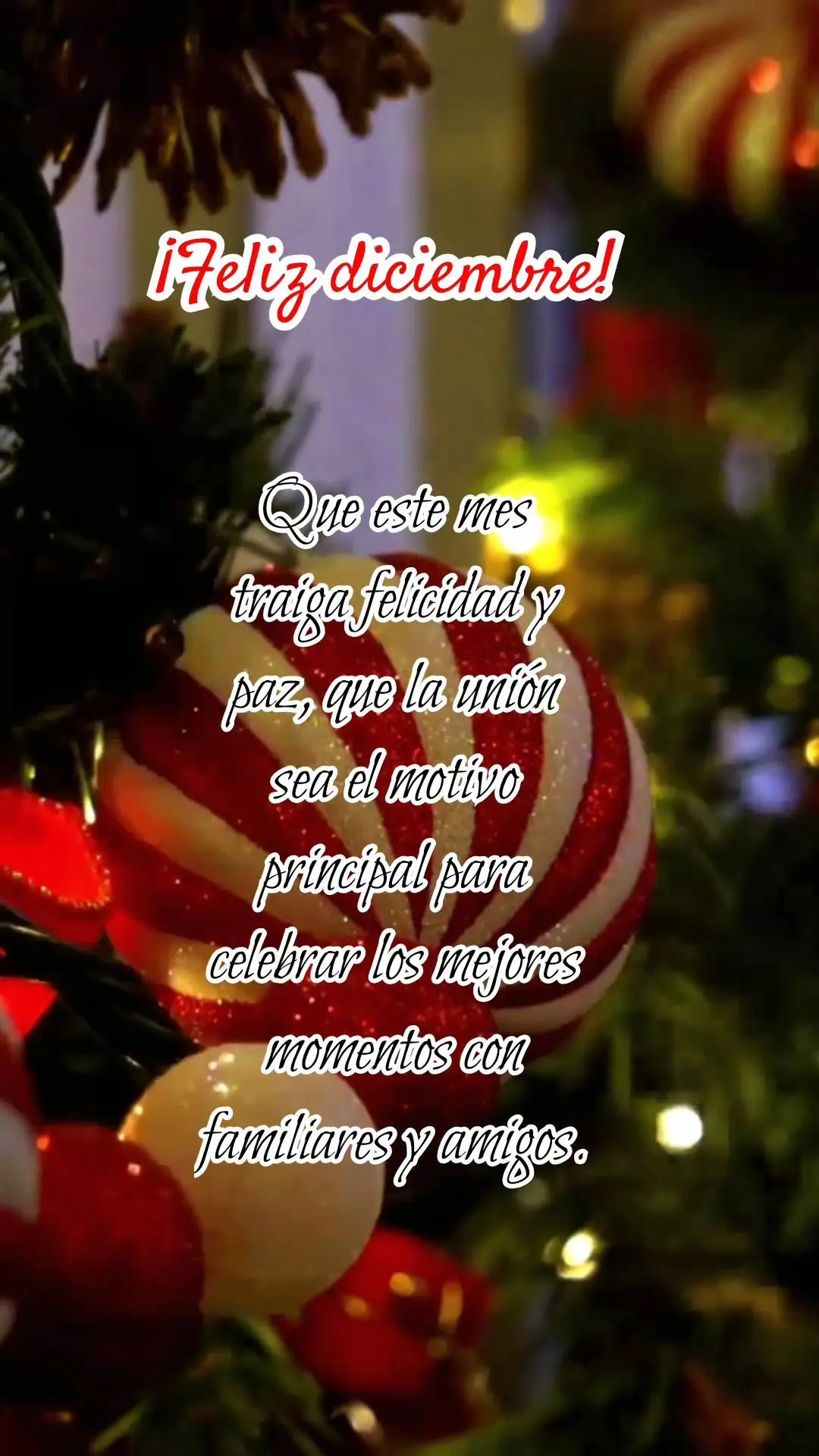 Que neste mês os dias prosperem felicidade e paz, que a união seja o principal motivo para celebrar os melhores momentos com a família e amigos.  Feli...
