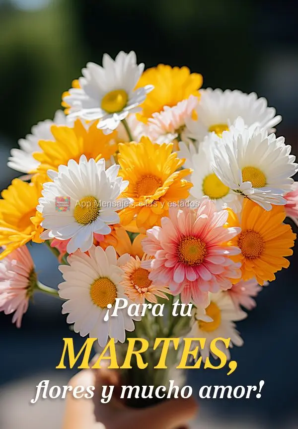 ¡Para tu martes, flores y mucho amor!