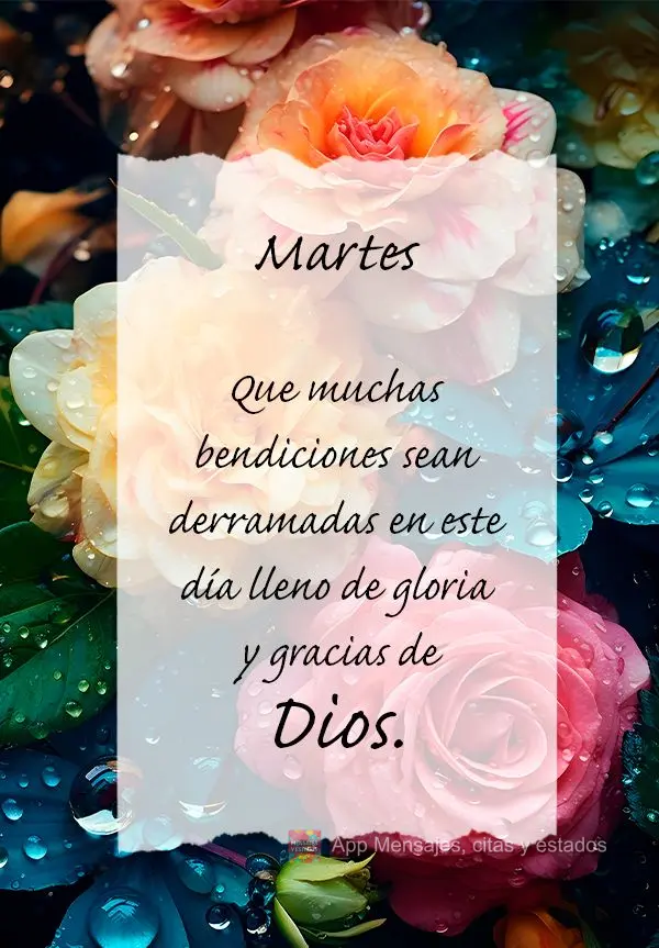 Que muchas bendiciones sean derramadas en este día lleno de gloria y gracias de Dios. Martes