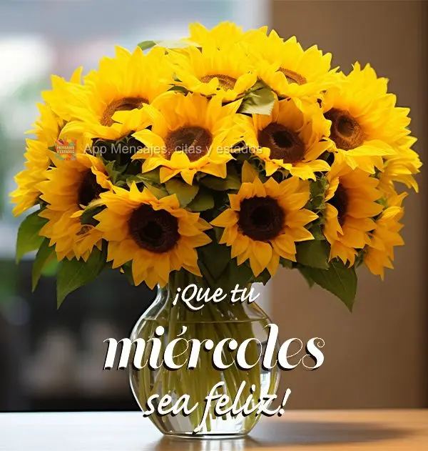 Que seja feliz  a sua Quarta-feira!