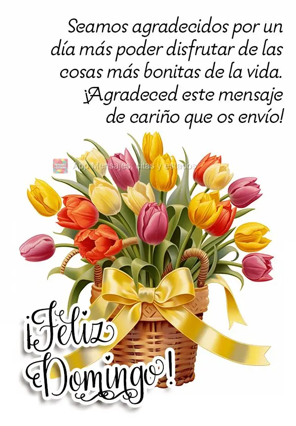 Sejamos gratos por mais um dia poder desfrutar das coisas mais belas da vida. Aprecie esta mensagem de carinho que envio à você! Feliz Domingo!