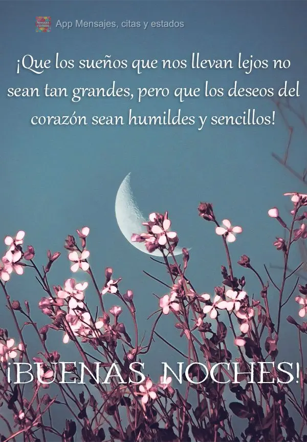 Que não seja tão grande os sonhos que nos levam pra longe, mas que seja humilde e simples os desejos do coração! Boa noite! 