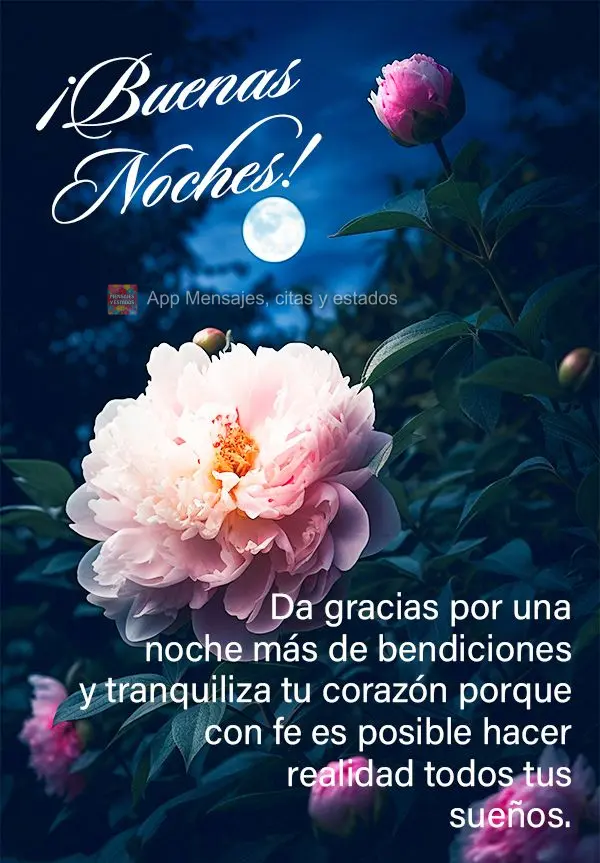 Agradeça por mais uma noite de bênçãos e tranquilize o seu coração porque com com fé é possível realizar todos os seus sonhos. Boa noite!