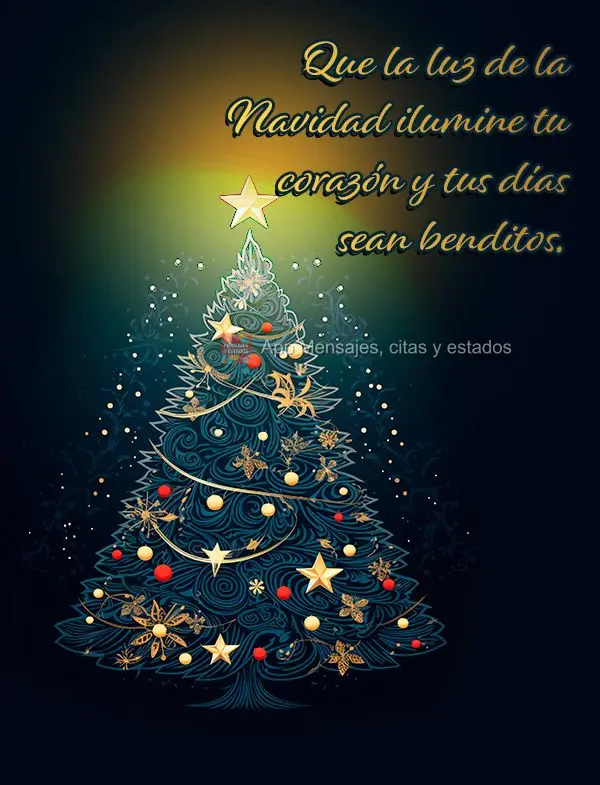 Que la luz de la Navidad ilumine tu corazón y tus días sean benditos.