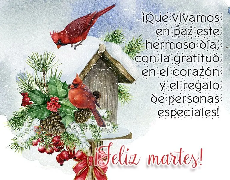 Que possamos viver em paz neste lindo dia, com gratidão no coração e a presente de pessoas especiais! Feliz Terça-feira! 