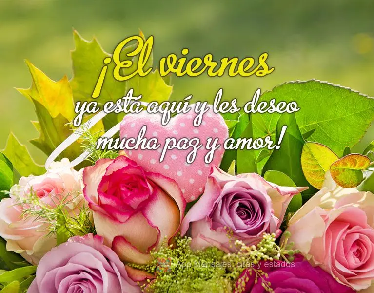 Sexta-feira chegou e eu desejo à você muita paz e amor!