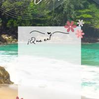 Que possamos entrar em Janeiro com a energias renovadas e nos fortalecidos, porque desistir dos nossos sonhos não pode ser um opção!  Janeiro