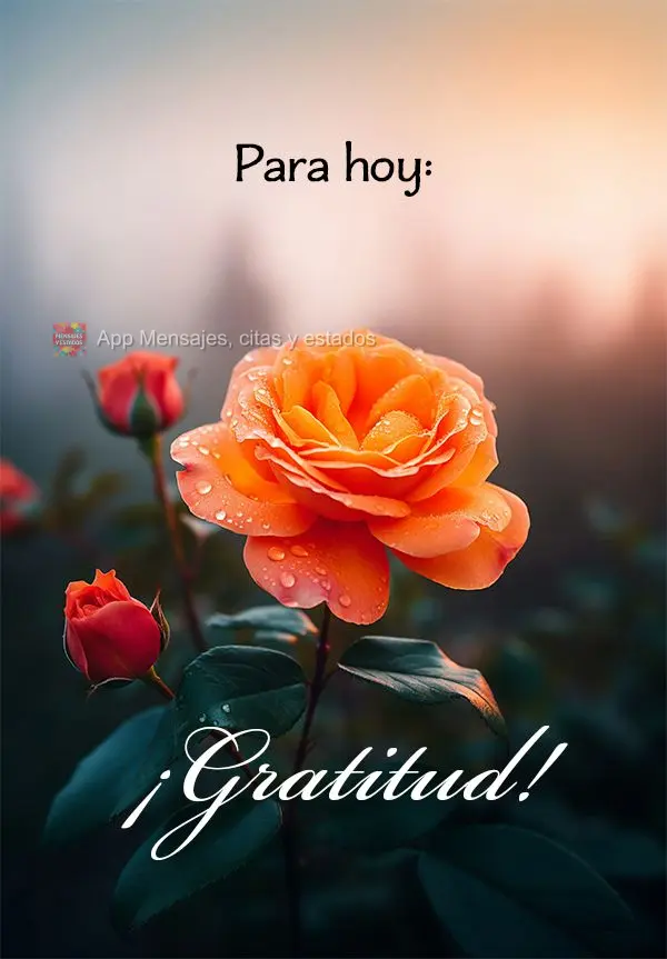 Para o dia de hoje: Gratidão!