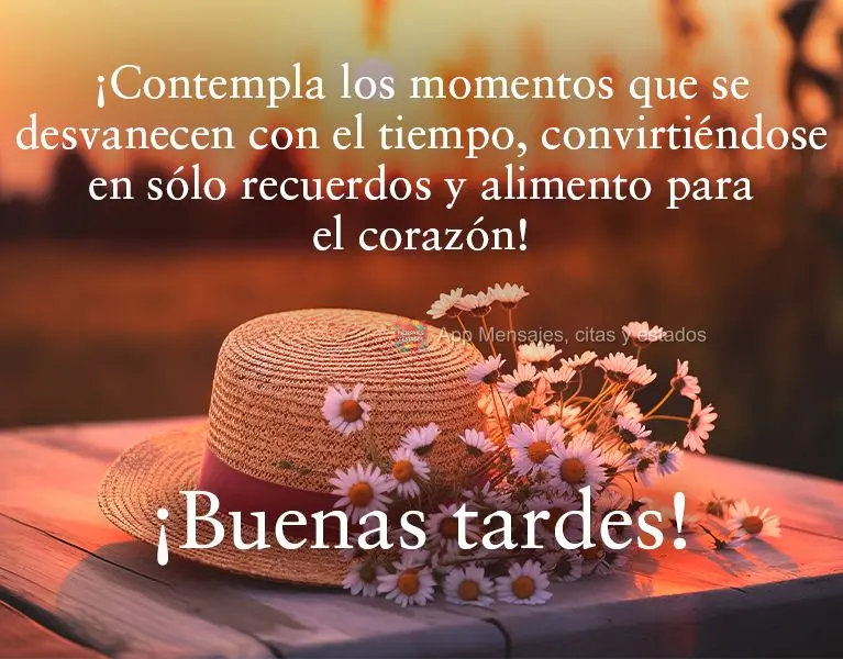 Comtemple os momentos que se apagam com o tempo se tornando apenas memórias e alimento pro coração! Boa tarde!