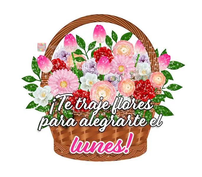 ¡Te traje flores para alegrarte el lunes!