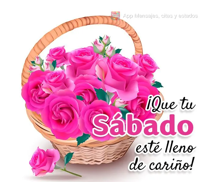 Que seu Sábado seja cheio de carinho!
