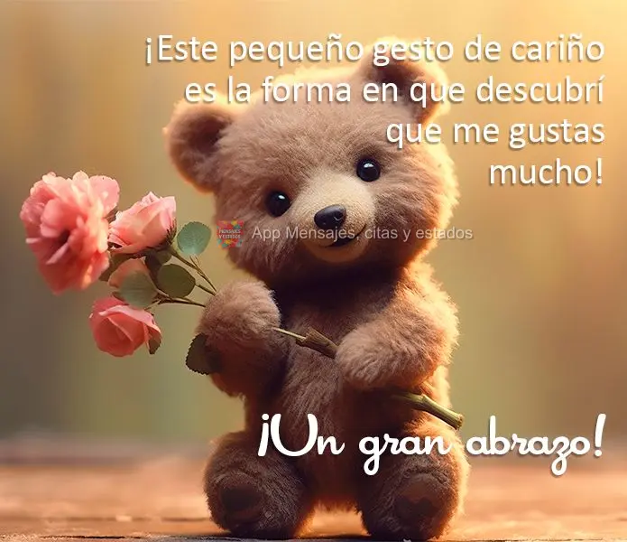 Esse pequeno gesto de carinho é a forma que encontrei que eu gosto muito de você! Um grande abraço!