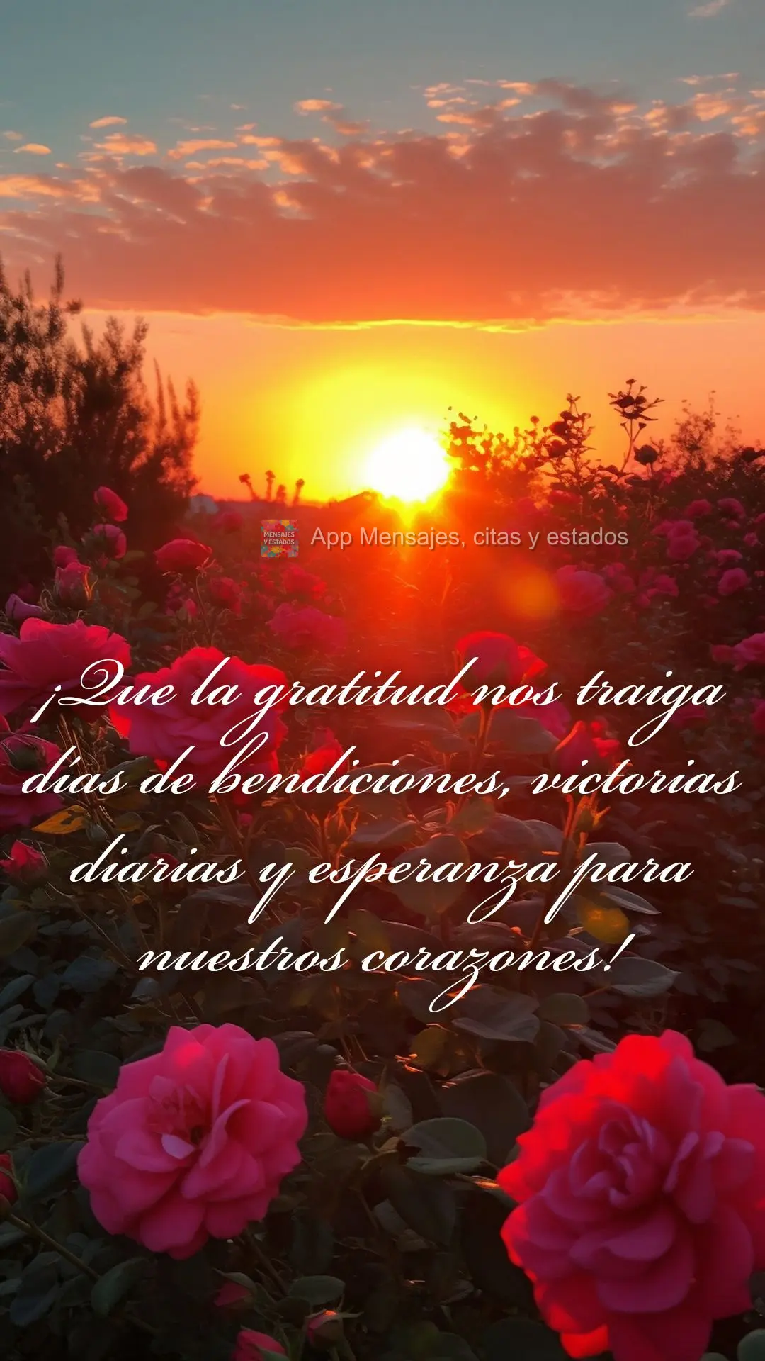 ¡Que la gratitud nos traiga días de bendiciones, victorias diarias y esperanza para nuestros corazones!