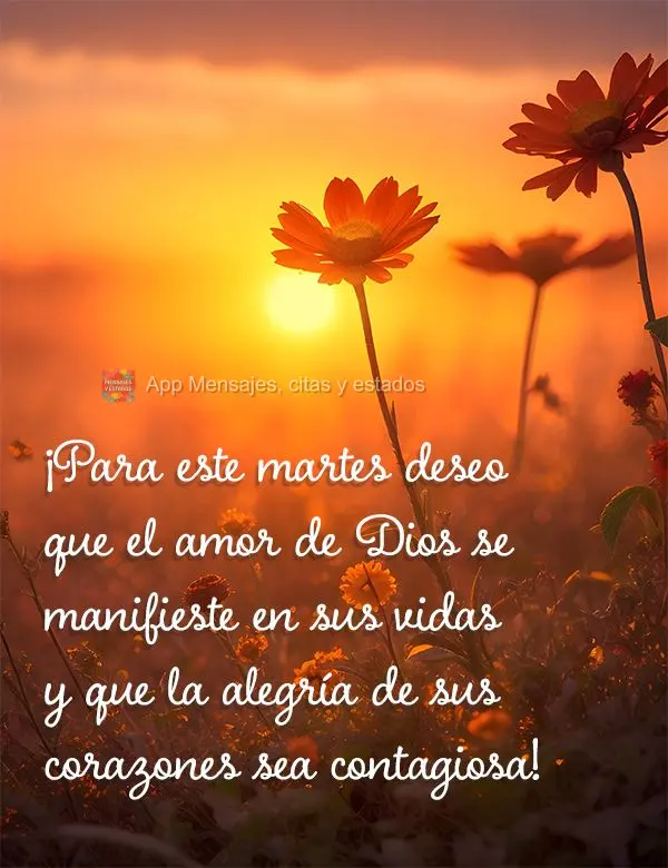 ¡Para este martes deseo que el amor de Dios se manifieste en sus vidas y que la alegría de sus corazones sea contagiosa!