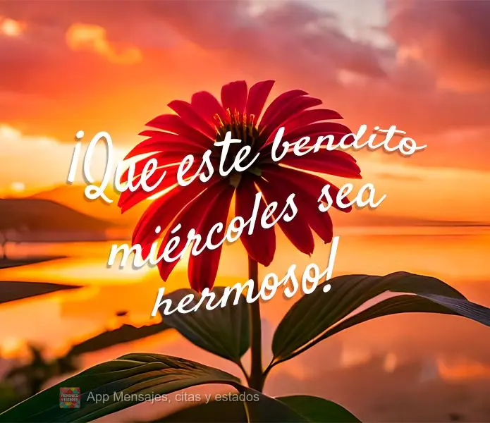 ¡Que este bendito miércoles sea hermoso!