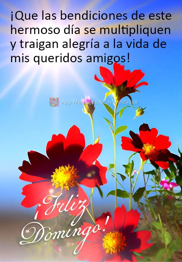 ¡Que las bendiciones de este hermoso día se multipliquen y traigan alegría a la vida de mis queridos amigos! ¡Feliz Domingo!