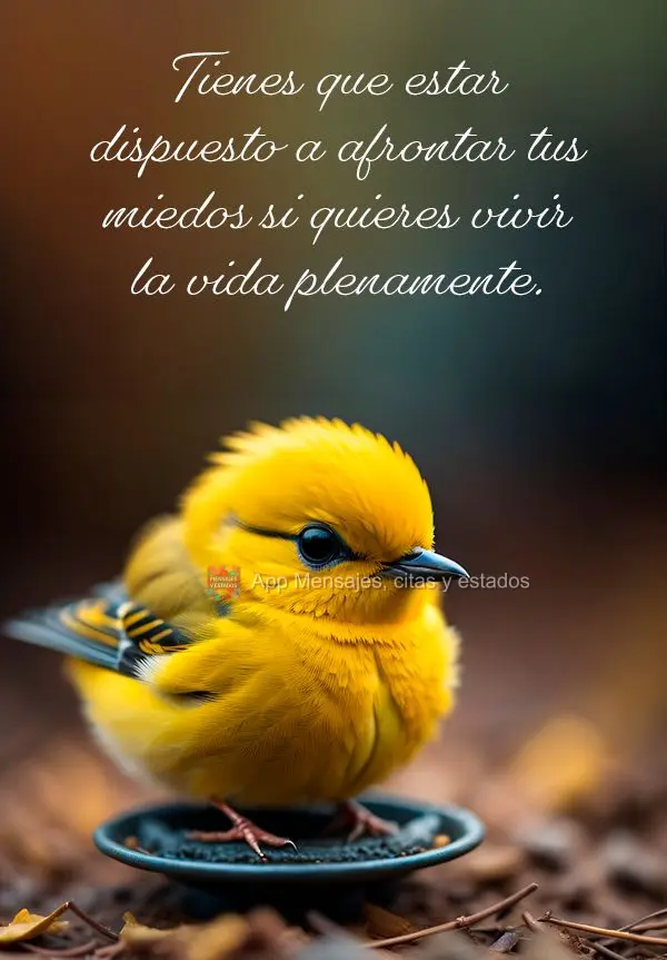 Tienes que estar dispuesto a afrontar tus miedos si quieres vivir la vida plenamente.