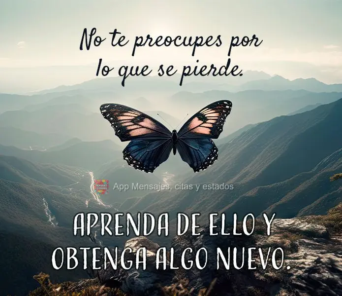 No te preocupes por lo que se pierde. Aprenda de ello y obtenga algo nuevo.