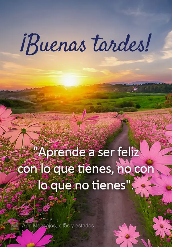 "Aprenda a ser feliz com o que você tem, e não com o que não tem." Boa tarde!