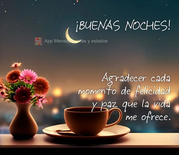 Agradeça por cada momento de felicidade e paz que a vida me oferece. Boa noite!