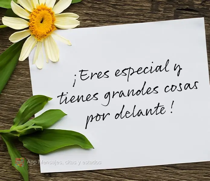 Você é especial e tem grandes coisas pela frente!