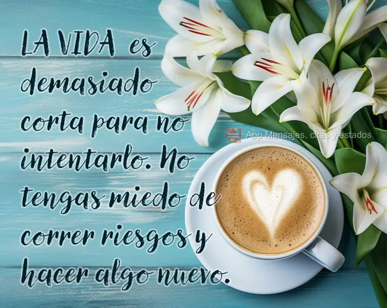 A vida é curta para não tentar. Não tenha medo de tomar riscos e fazer algo novo.