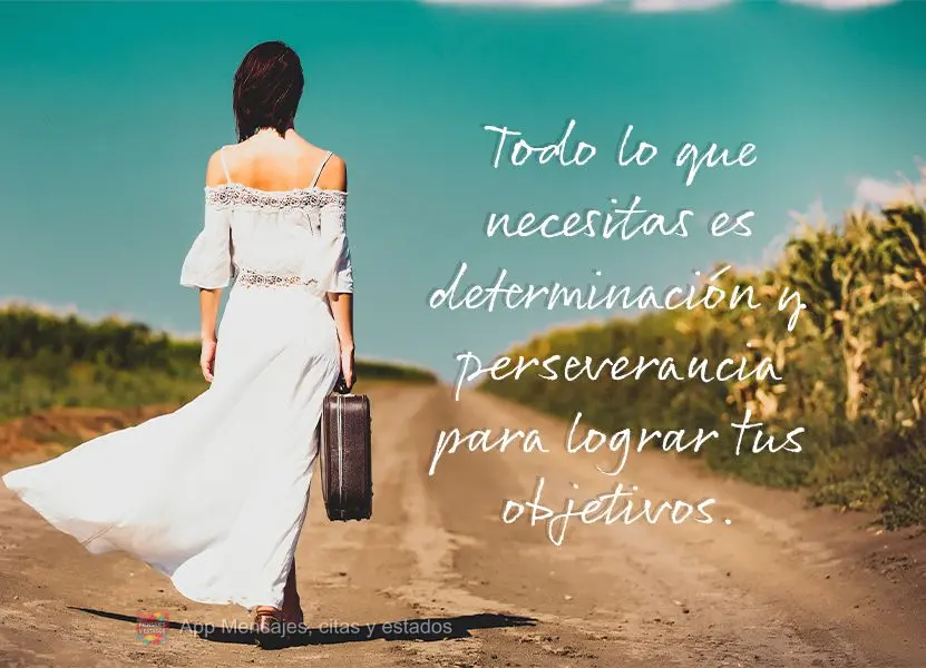 Tudo o que você precisa é de determinação e persistência para alcançar seus objetivos.