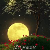 Agradeça por mais uma noite de bênçãos!  Boa noite!