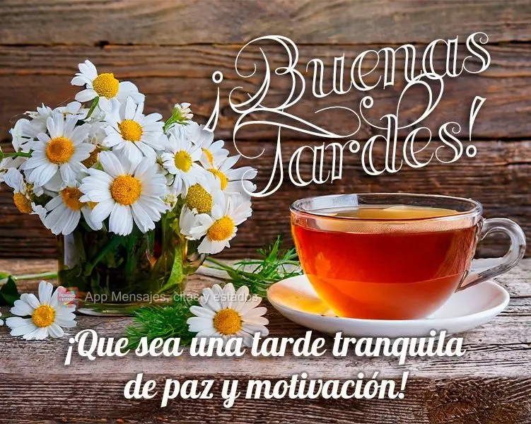 Que seja uma tarde tranquila de paz e motivação! Boa tarde!