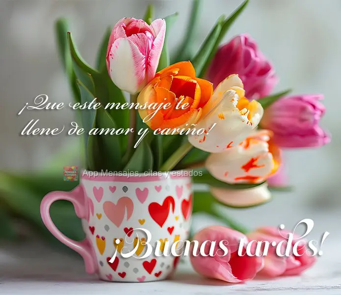 Que esta mensagem possa te encher de amor e carinho! Boa tarde! 