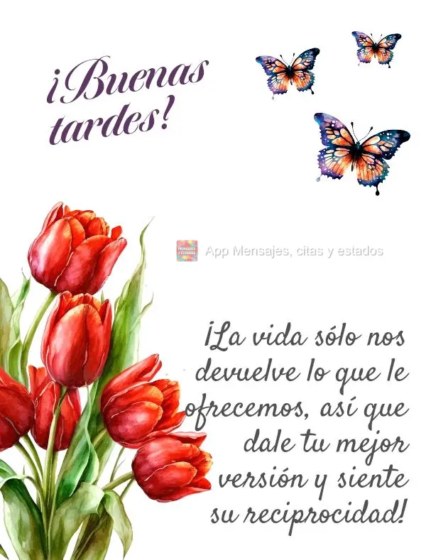 ¡La vida sólo nos devuelve lo que le ofrecemos, así que dale tu mejor versión y siente su reciprocidad! ¡Buenas tardes!  