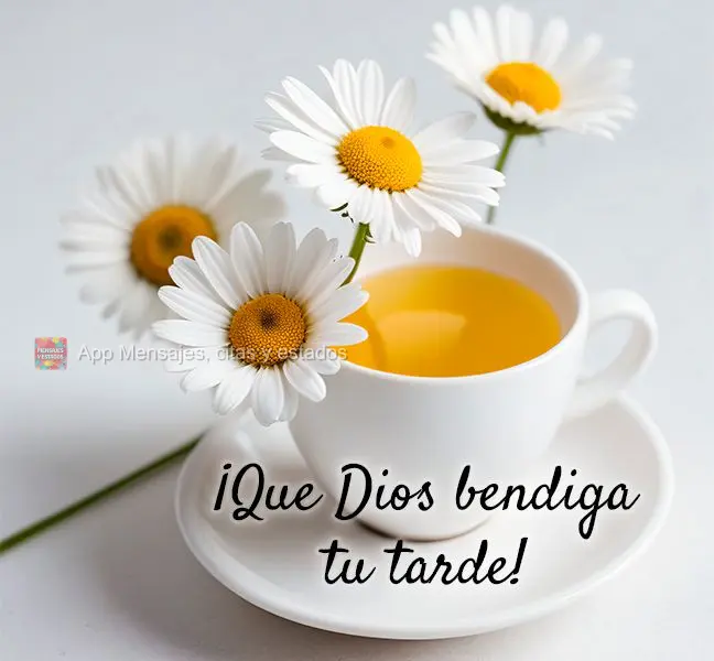 ¡Que Dios bendiga tu tarde!