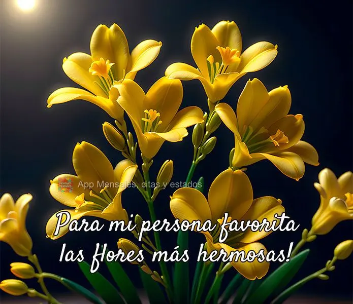 Para mi persona favorita las flores más hermosas!