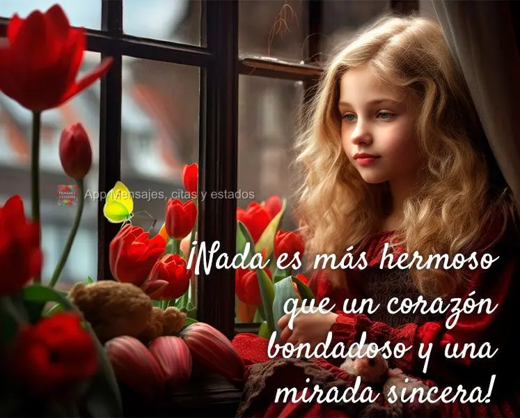 Nada é mais belo que um coração gentil e um olhar sincero!