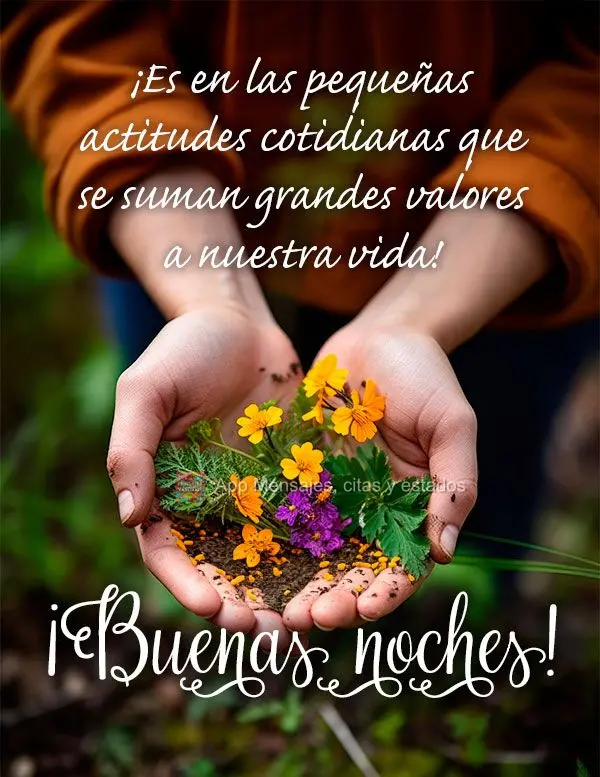 São nas pequenas atitudes diárias que se agregam grandes valores à nossa vida! Boa noite!