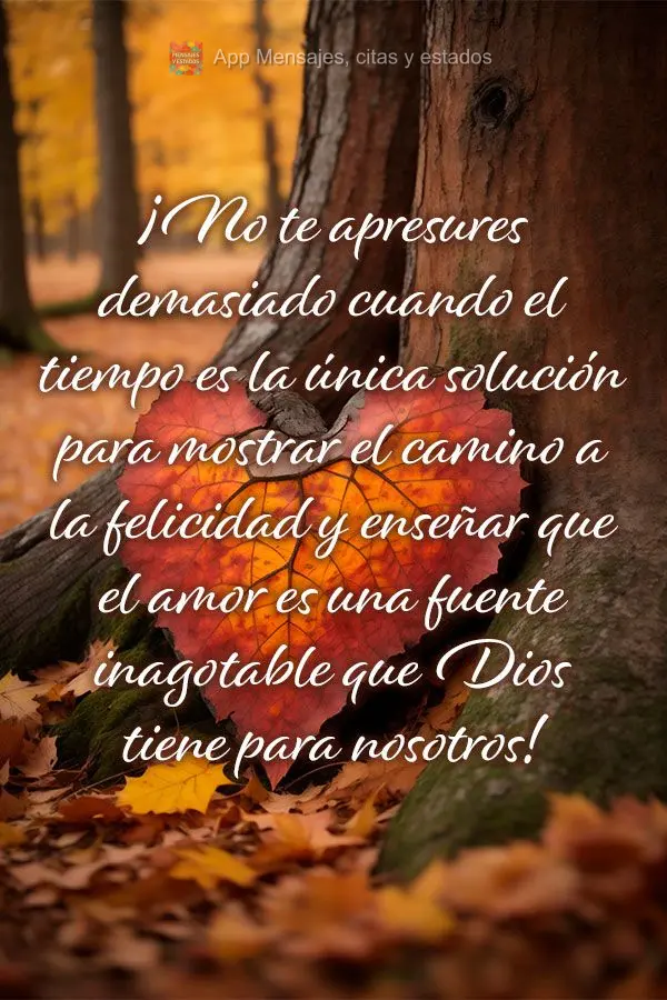 ¡No te apresures demasiado cuando el tiempo es la única solución para mostrar el camino a la felicidad y enseñar que el amor es una fuente inagotable...