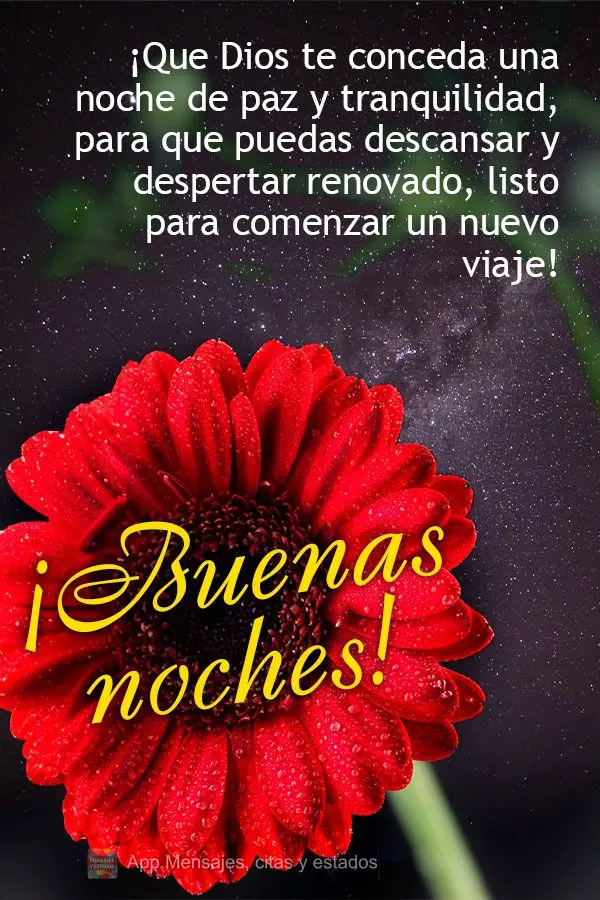 Que Deus lhe conceda uma noite de paz e tranquilidade, para que possa descansar e acordar renovado pronto para começar uma nova jornada! Boa noite!