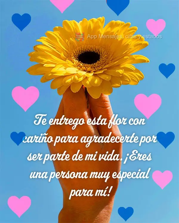 Te entrego esta flor con cariño para agradecerte por ser parte de mi vida. ¡Eres una persona muy especial para mí!