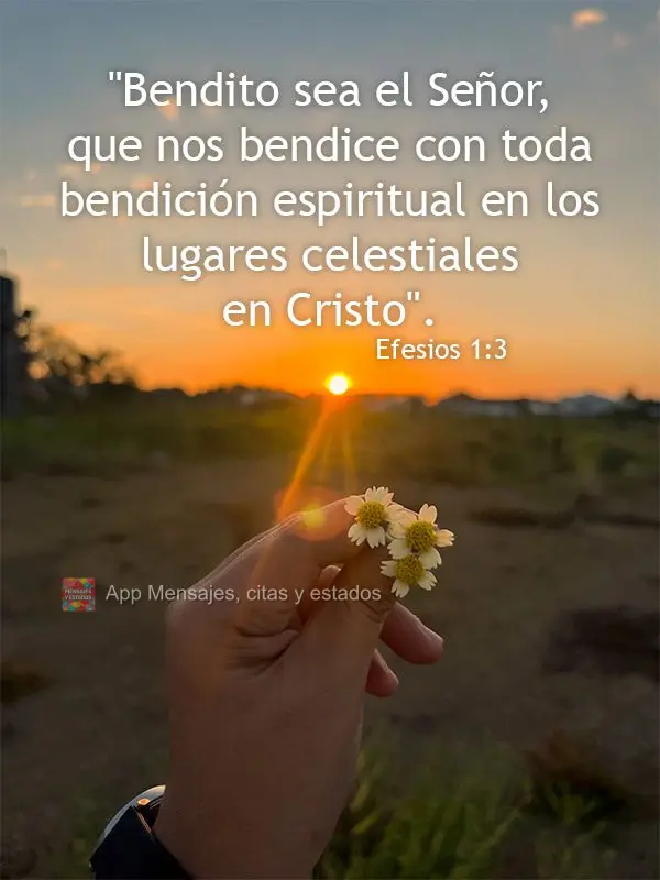 "Bendito sea el Señor, que nos bendice con toda bendición espiritual en los lugares celestiales en Cristo". Efesios 1:3