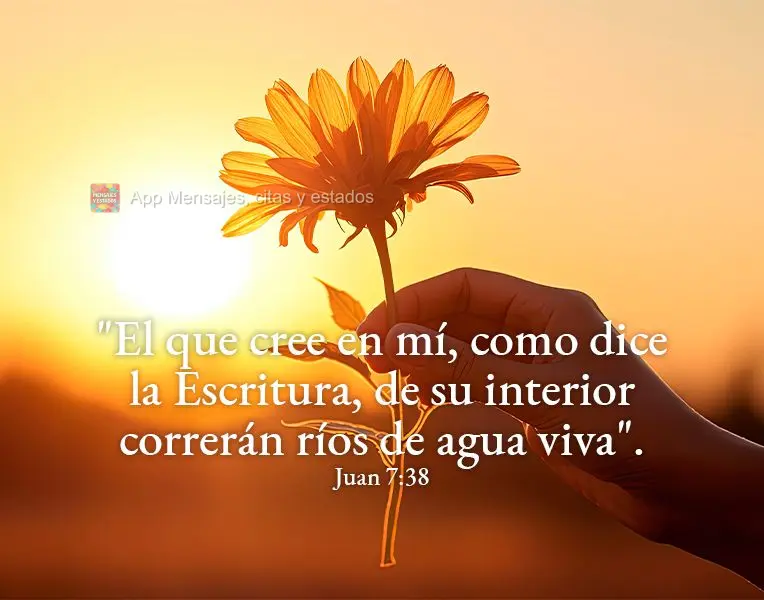 "El que cree en mí, como dice la Escritura, de su interior correrán ríos de agua viva". Juan 7:38