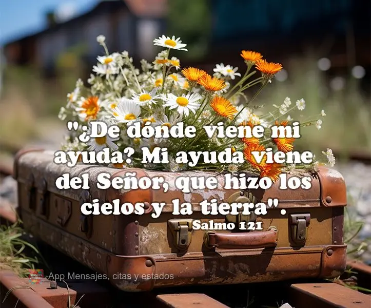 "¿De dónde viene mi ayuda? Mi ayuda viene del Señor, que hizo los cielos y la tierra". Salmo 121