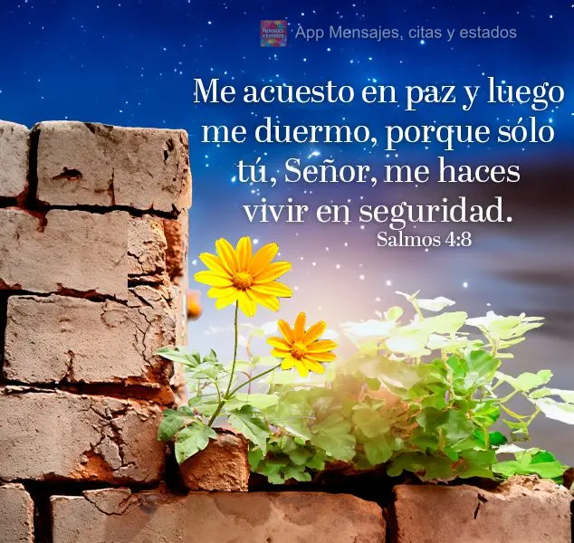 Me acuesto en paz y luego me duermo, porque sólo tú, Señor, me haces vivir en seguridad. Salmos 4:8