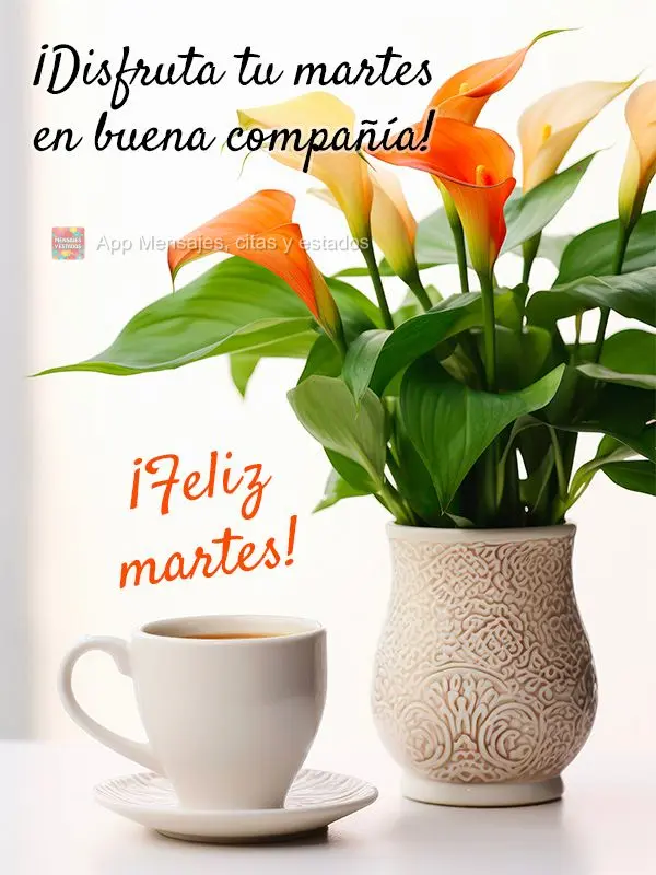 ¡Disfruta tu martes en buena compañía! ¡Feliz martes!