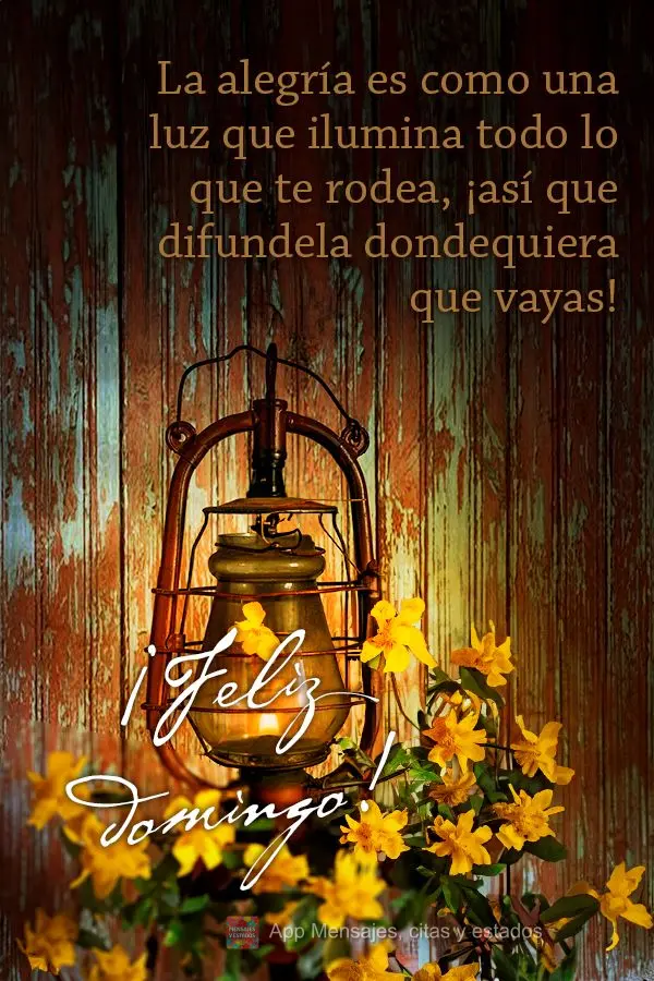 A alegria é como uma luz que ilumina tudo ao seu redor, então espalhe-a por onde passar! Feliz Domingo!