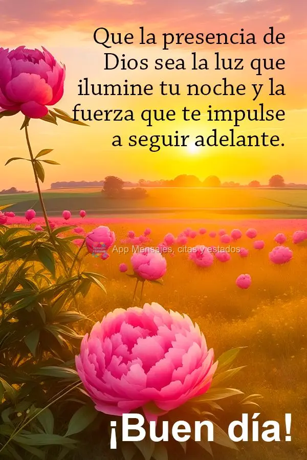 Que a presença de Deus seja a luz que ilumina a sua noite e a força que te impulsiona a seguir em frente. Bom dia!