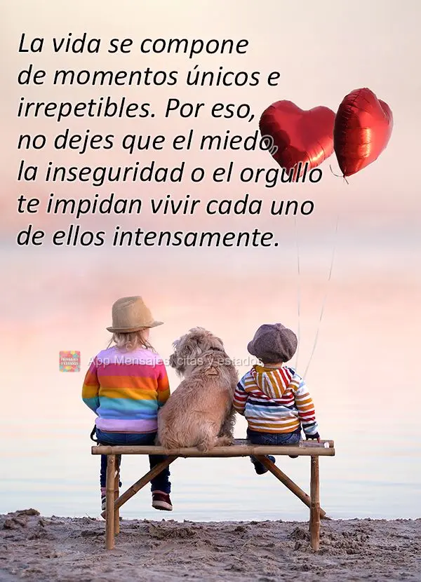 La vida se compone de momentos únicos e irrepetibles. Por eso, no dejes que el miedo, la inseguridad o el orgullo te impidan vivir cada uno de ellos int...