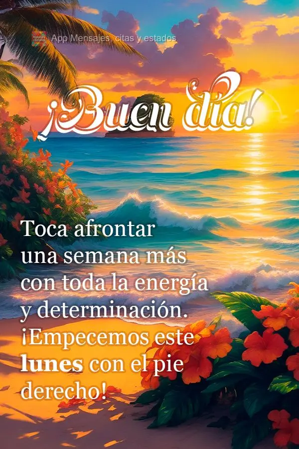 Toca afrontar una semana más con toda la energía y determinación. ¡Empecemos este lunes con el pie derecho! ¡Buen día!